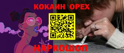 шишки Аргун