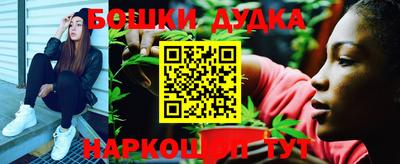 шишки Аргун