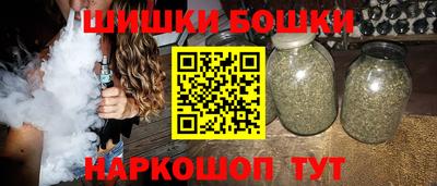шишки Аргун