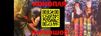 шишки Аргун
