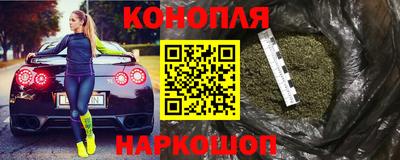 шишки Аргун