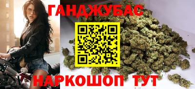 шишки Аргун
