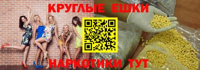 шишки Аргун