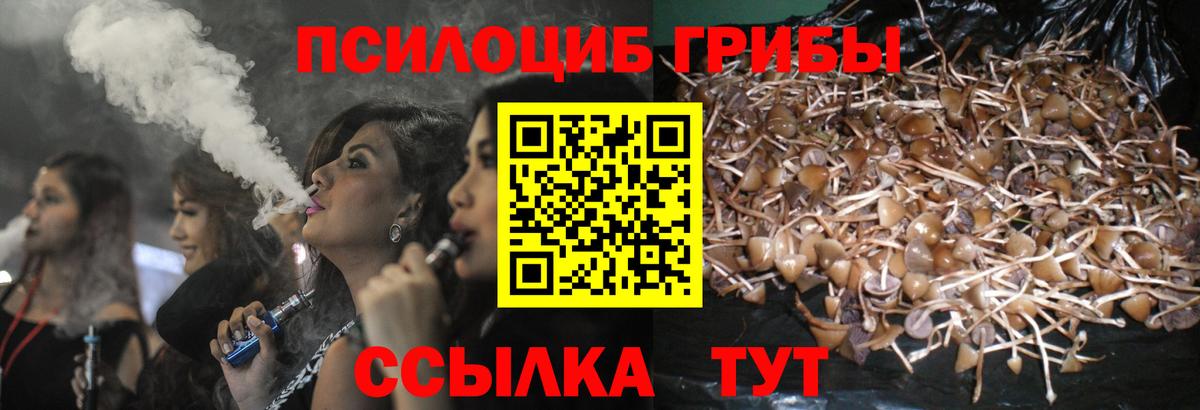 Псилоцибиновые грибы Magic Shrooms Балахна